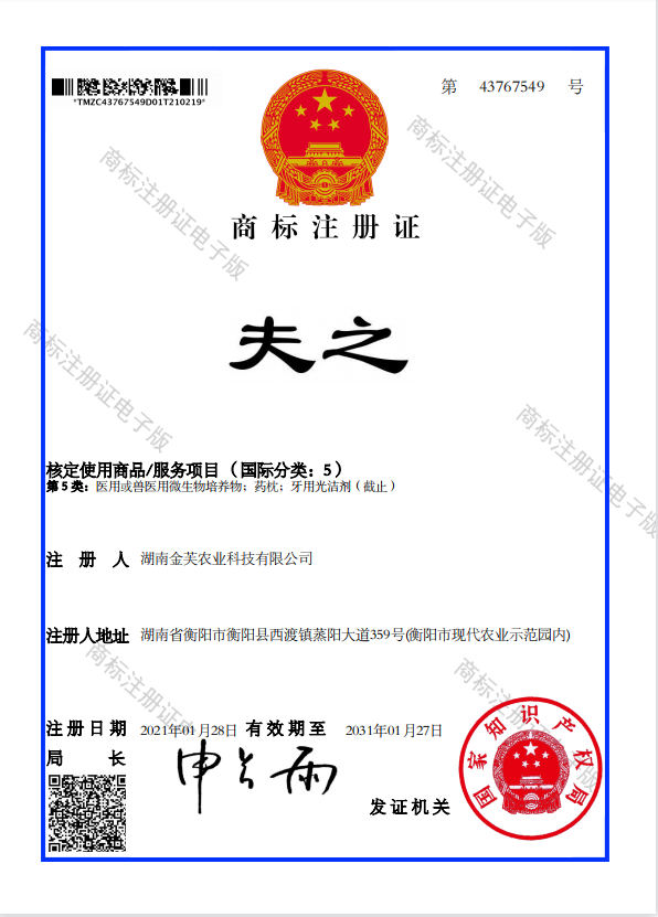 湖南金芙農業(yè)科技有限公司,湖南蛹蟲草,湖南羊肚菌,蛹蟲草,羊肚菌,龍新,蟲草酒哪里好,衡陽食用菌,衡陽羊肚菌,衡陽蛹蟲草